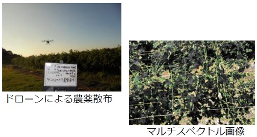 ドローンによる農薬散布とマルチスペクトル画像